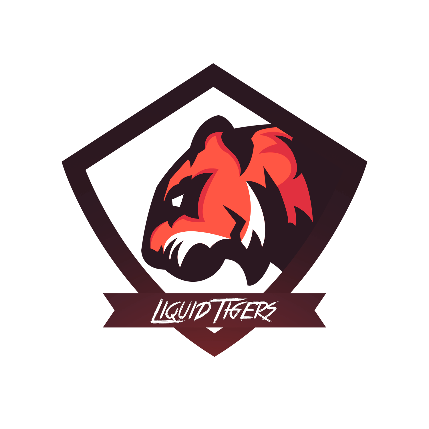 Zakladatel organizace NoFear